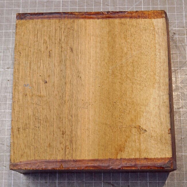 Nussbaum europ., ca. 163 x 163 x 64mm, 0,96kg