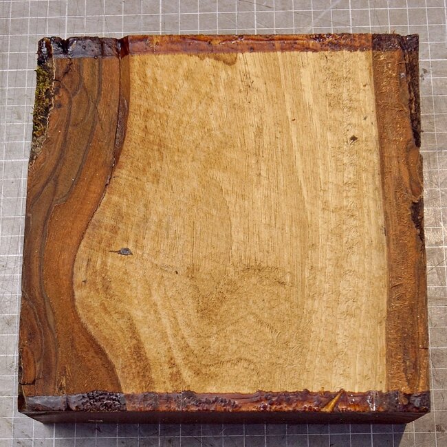 Nussbaum europ., ca. 174 x 173 x 62mm, 0,98kg