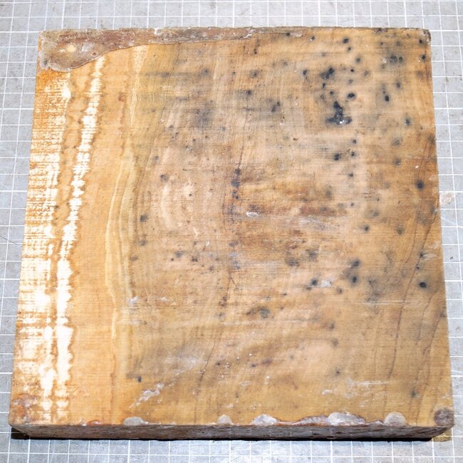 Olive, approx. 200 x 200 x 47 mm, 1,8 kg