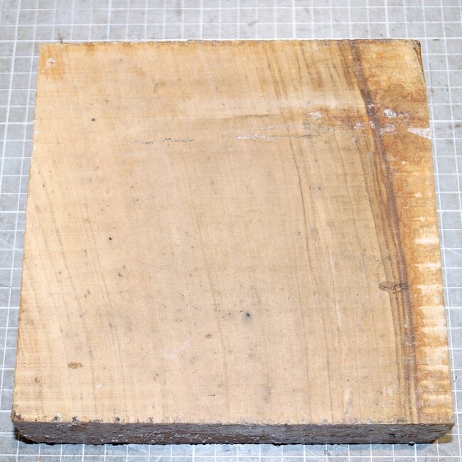 Olive, ca. 180 x 180 x 49 mm, 1,6 kg