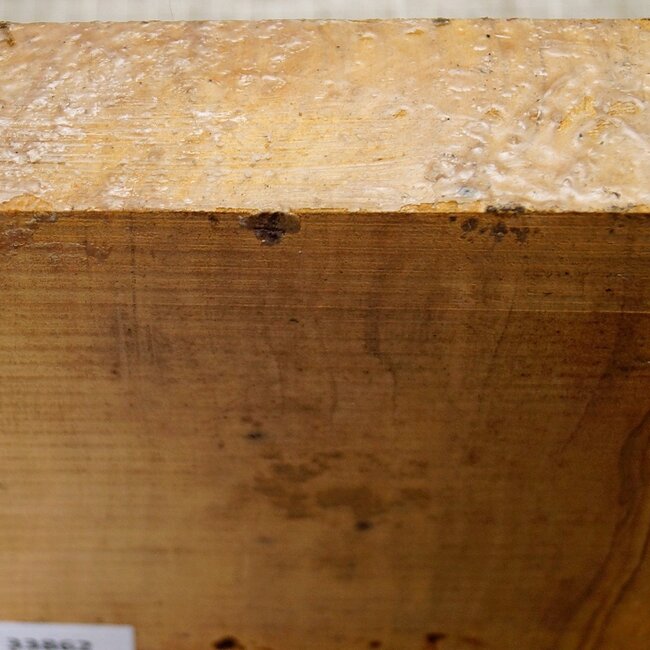 Olive, approx. 180 x 180 x 49 mm, 1,6 kg