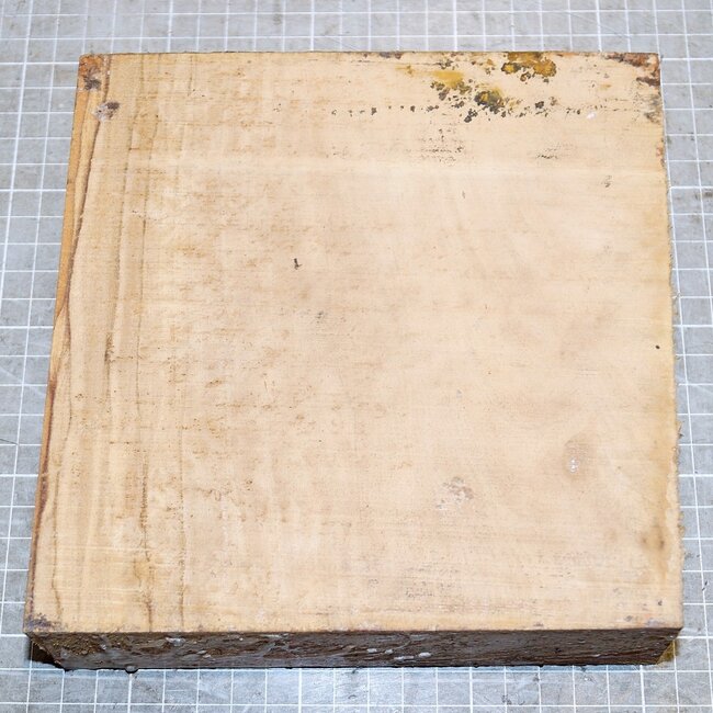 Olive, ca. 170 x 170 x 50 mm, 1,4 kg