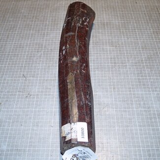 Snakewood, approx. 480 x 65 x 95 mm, 2,9 kg