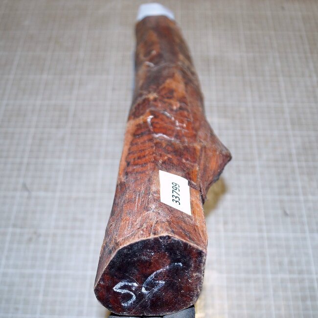 Snakewood, approx. 480 x 70 x 60 mm, 2,3 kg