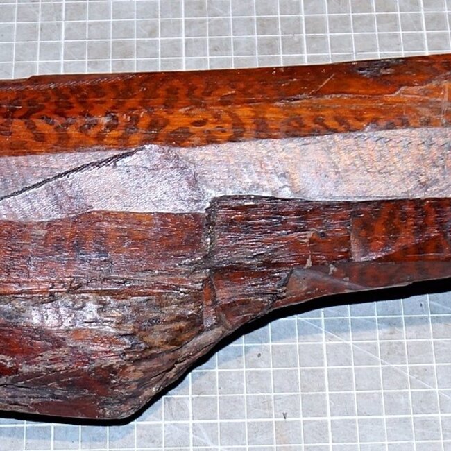 Schlangenholz, ca. 550 x 65/120/95 x 70 mm,  3,8 kg