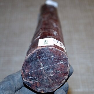 Schlangenholz, ca. 650 x 65 x 55 mm,  3,1 kg