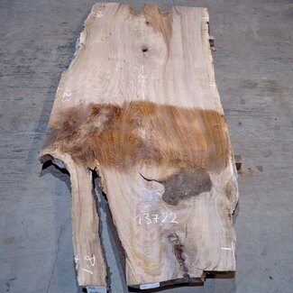 Caucasian Walnut, table top, approx. 2800 x 1230 x 52 mm, 13722