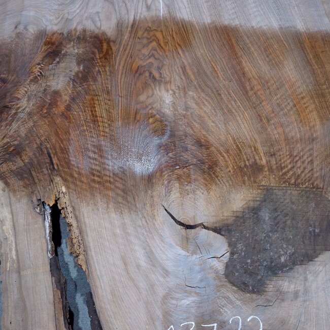 Caucasian Walnut, table top, approx. 2800 x 1230 x 52 mm, 13722