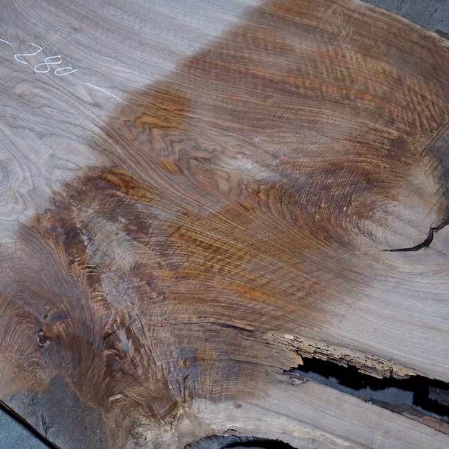 Caucasian Walnut, table top, approx. 2800 x 1230 x 52 mm, 13722