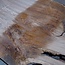 Caucasian Walnut, table top, approx. 2800 x 1230 x 52 mm, 13722