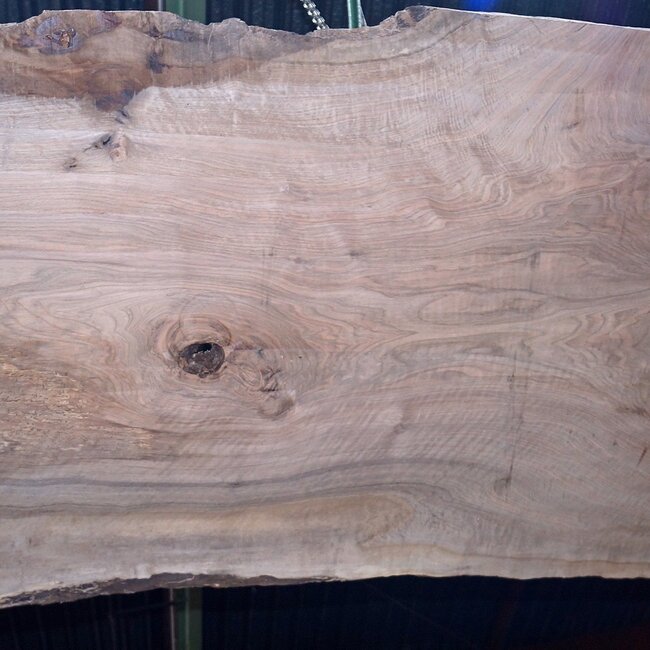 Kaukasischer Nussbaum, Tischplatte, ca. 2800 x 1230 x 52 mm, 13722