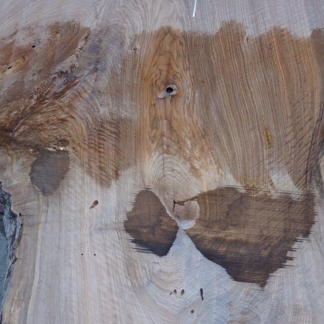 Caucasian Walnut, table top, approx. 2850 x 1290 x 55 mm, 13723