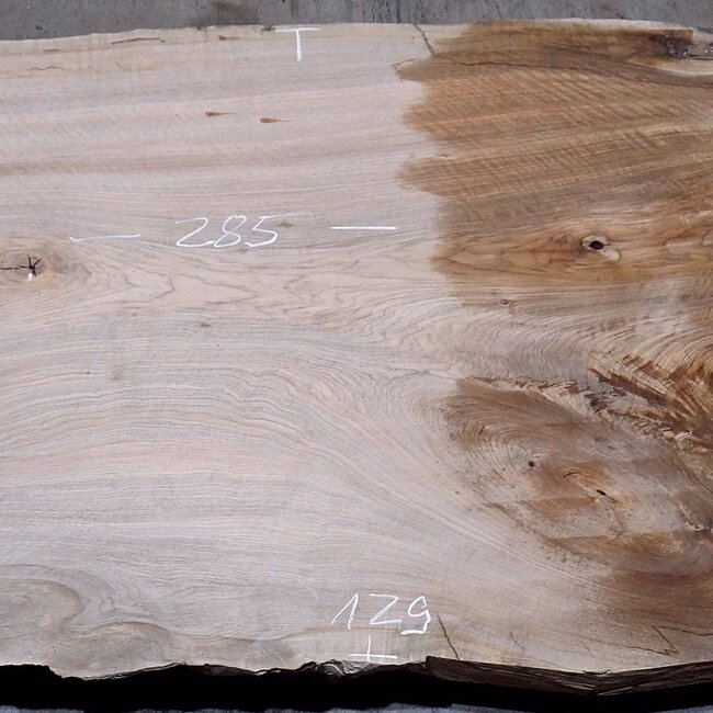Kaukasischer Nussbaum, Tischplatte, ca. 2850 x 1290 x 55 mm, 13723