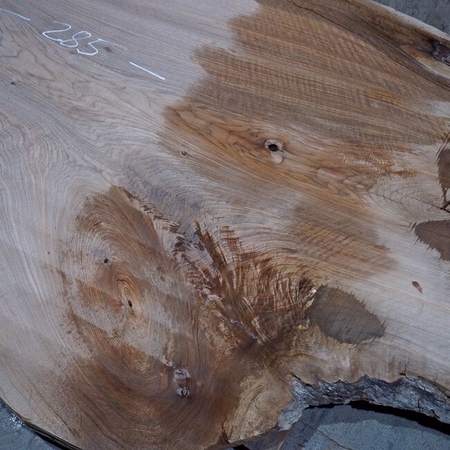 Caucasian Walnut, table top, approx. 2850 x 1290 x 55 mm, 13723