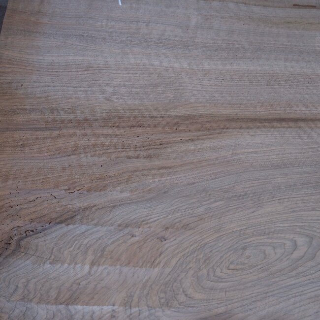 Caucasian Walnut, table top, approx. 2850 x 1290 x 55 mm, 13723