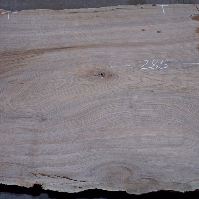 Caucasian Walnut, table top, approx. 2850 x 1290 x 55 mm, 13723