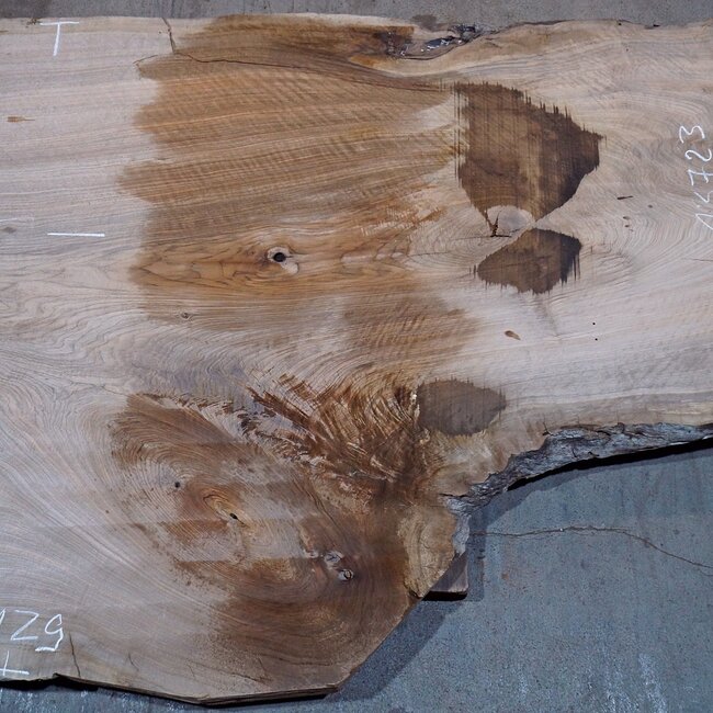 Caucasian Walnut, table top, approx. 2850 x 1290 x 55 mm, 13723