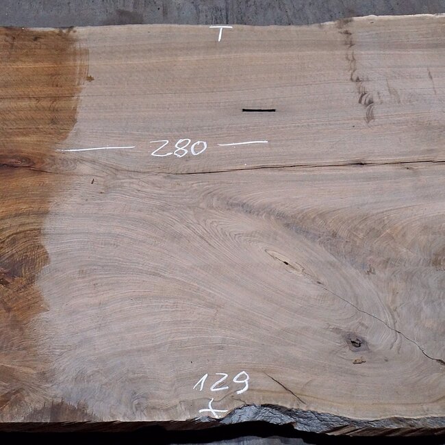 Caucasian Walnut, table top, approx. 2800 x 1290 x 55 mm, 13724