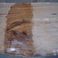 Caucasian Walnut, table top, approx. 2800 x 1290 x 55 mm, 13724