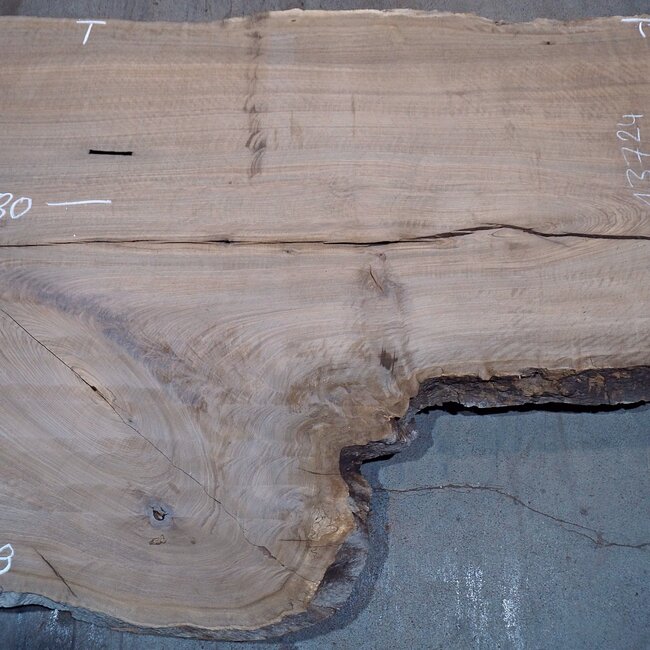 Caucasian Walnut, table top, approx. 2800 x 1290 x 55 mm, 13724