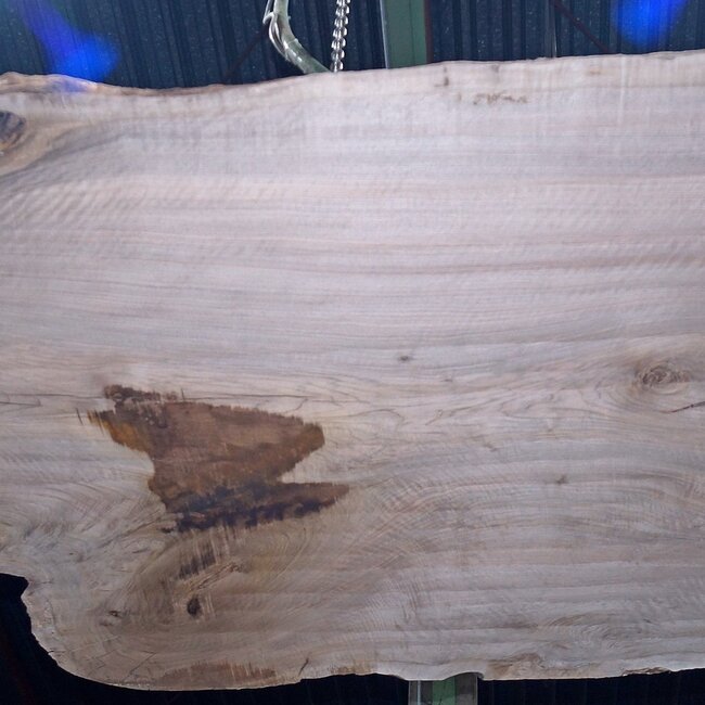 Caucasian Walnut, table top, approx. 2800 x 1290 x 55 mm, 13724