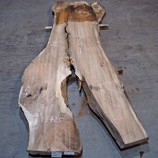 Caucasian Walnut, table top, approx. 3250 x 790 x 55 mm, 13725