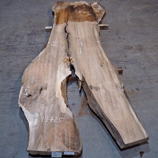 Kaukasischer Nussbaum, Tischplatte, ca. 3250 x 790 x 55 mm, 13725