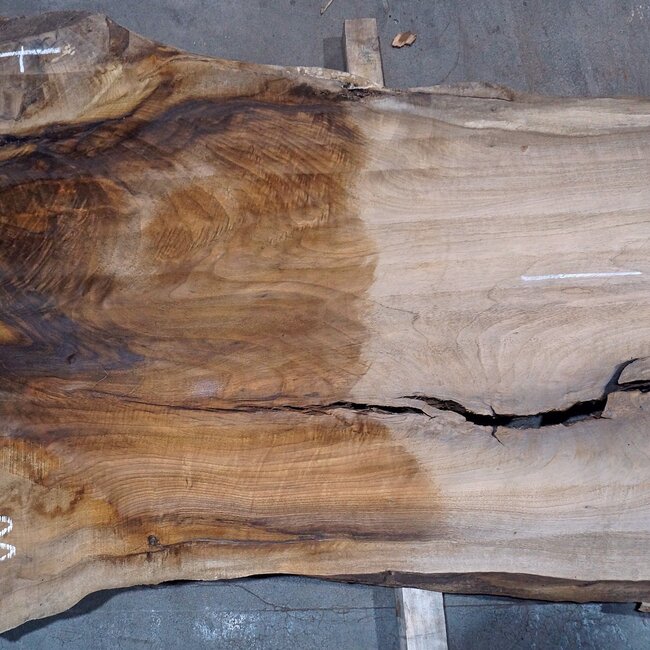 Caucasian Walnut, table top, approx. 3250 x 790 x 55 mm, 13725
