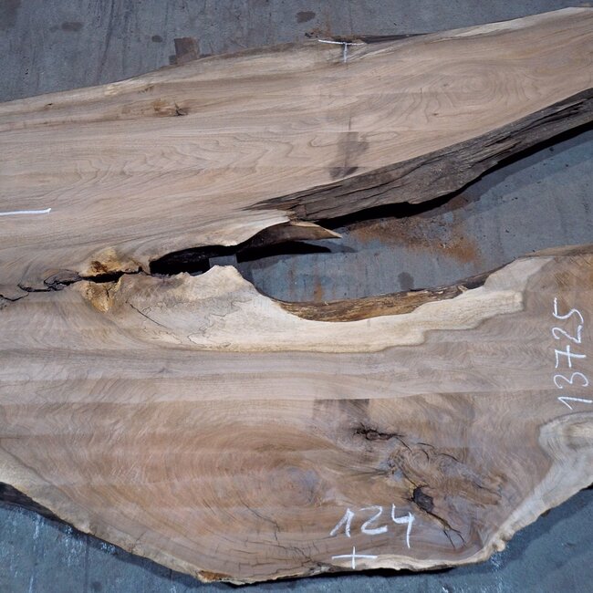 Caucasian Walnut, table top, approx. 3250 x 790 x 55 mm, 13725
