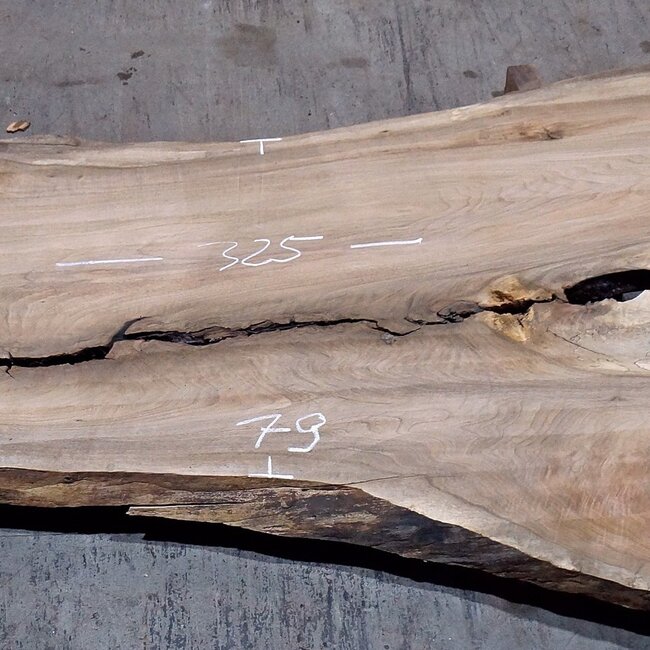 Caucasian Walnut, table top, approx. 3250 x 790 x 55 mm, 13725