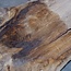 Caucasian Walnut, table top, approx. 3250 x 790 x 55 mm, 13725