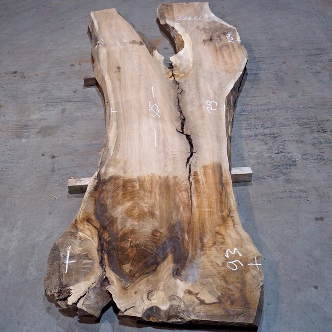 Caucasian Walnut, table top, approx. 3250 x 790 x 55 mm, 13725