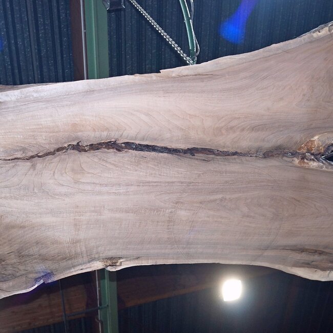 Caucasian Walnut, table top, approx. 3250 x 790 x 55 mm, 13725