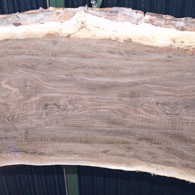 Kaukasischer Nussbaum, Tischplatte, ca. 3200 x 840 x 62 mm, 13727