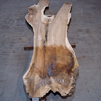 Kaukasischer Nussbaum, Tischplatte, ca. 2000(3100) x 690 x 52 mm, 13728
