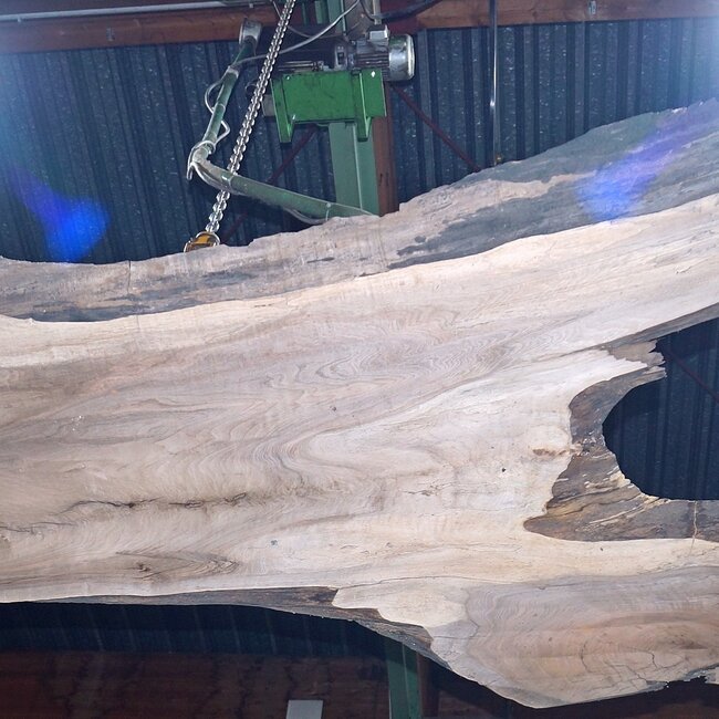 Caucasian Walnut, table top, approx. 2000(3100) x 690 x 52 mm, 13728