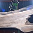 Caucasian Walnut, table top, approx. 2000(3100) x 690 x 52 mm, 13728