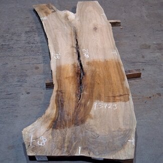 Caucasian Walnut, table top, approx. 2500(2900) x 790 x 30 mm, 13729