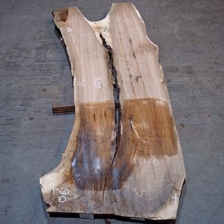 Caucasian Walnut, table top, approx. 3200 x 910 x 40 mm, 13730