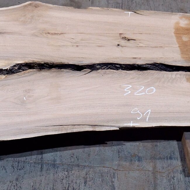 Caucasian Walnut, table top, approx. 3200 x 910 x 40 mm, 13730