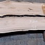 Caucasian Walnut, table top, approx. 3200 x 910 x 40 mm, 13730