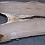 Caucasian Walnut, table top, approx. 3200 x 910 x 40 mm, 13730
