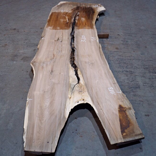 Caucasian Walnut, table top, approx. 3200 x 910 x 40 mm, 13730