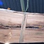 Caucasian Walnut, table top, approx. 3200 x 910 x 40 mm, 13730
