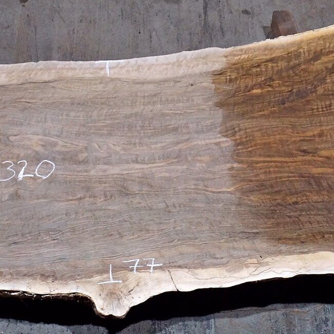Caucasian Walnut, table top, approx. 3200 x 770 x 62 mm, 13726