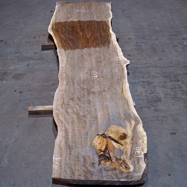 Kaukasischer Nussbaum, Tischplatte, ca. 3200 x 770 x 62 mm, 13726