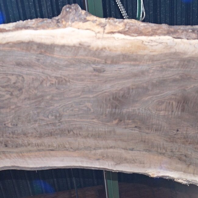 Kaukasischer Nussbaum, Tischplatte, ca. 3200 x 770 x 62 mm, 13726