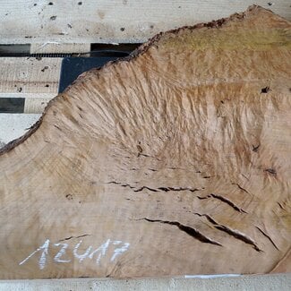 Madrona burl slab, approx. 690 x 570 x 35 mm, 12417