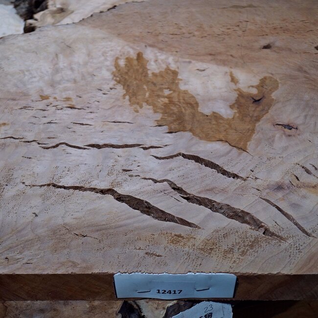 Madrona burl slab, approx. 690 x 570 x 35 mm, 12417