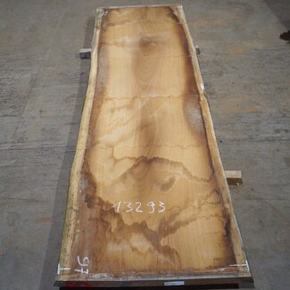 Iroko table top, approx. 3100 x 900 x 65 mm, 13293